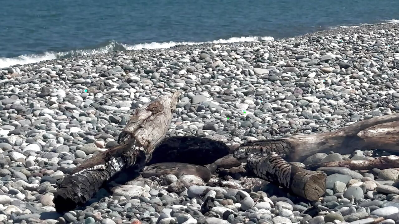 Horny guys have sex on the beach - cums multiple times in a twink's hole
