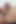 Wellington dos Keyboards country şarkıcısı Paty Bumbum'un videosunu istedi