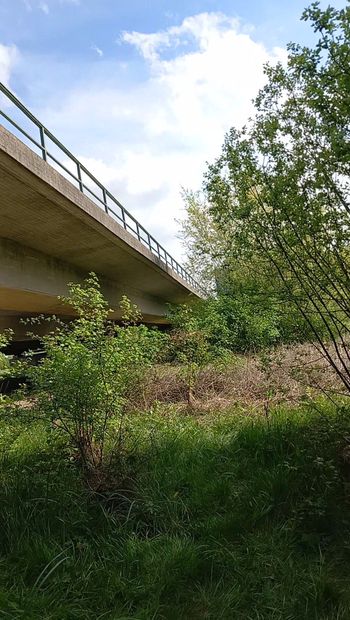 Возбужденную крейсерскую сохнули.