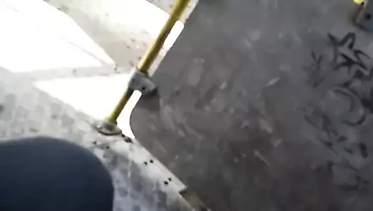 Un dia de calentura en el bus