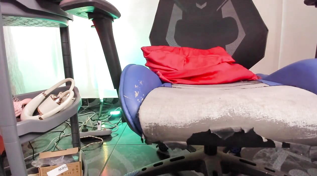 貝拉來到她家並與她的朋友在線聯繫