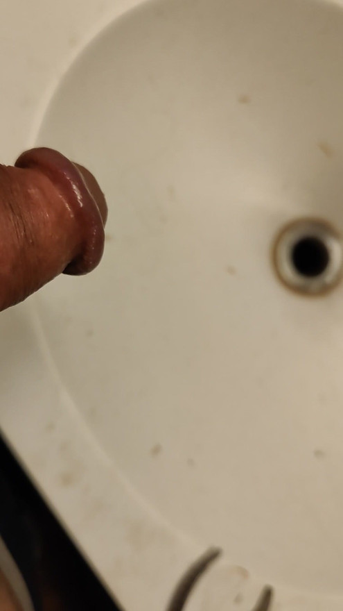 Kissaaminen kylpyhuoneen pesualtaaseen