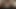 Isisによるストリーミングムービー 『Love Of Barefoot Confidential』