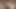 ふしだらな実妻、ストリップショーをやっている