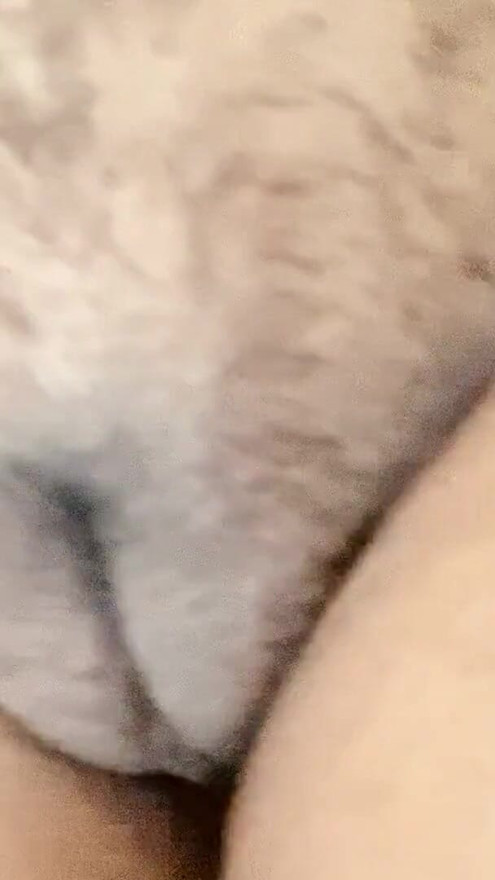 Desi Indian hairy pussy | Clip 1