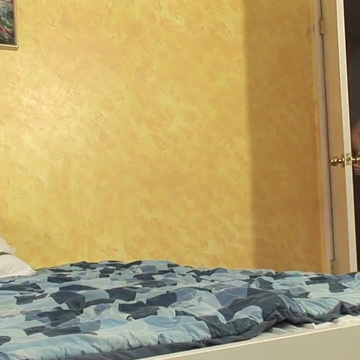 ফেরেশতা