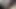 Horny juicy big black Desi dick