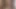 I Left the Door Open so Everyone Could See I Was Masturbating with a Dildo