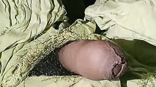 Ein dicker Arsch wird aufgedeckt und von einem Dildo penetriert