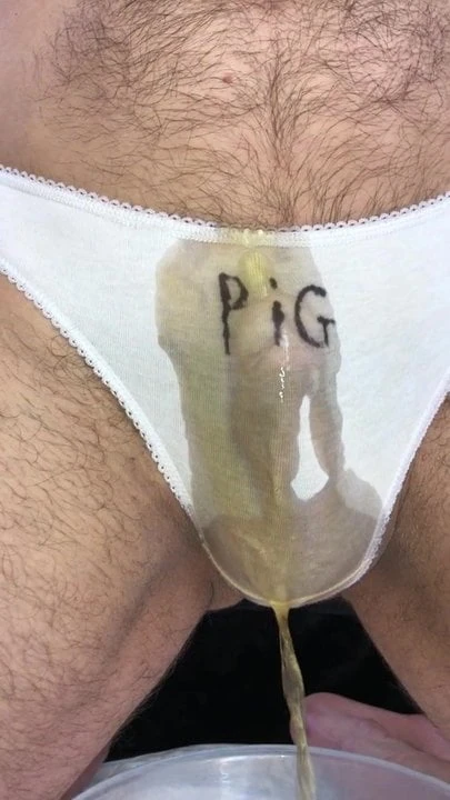 PiG on Panties ... PiG in Panties