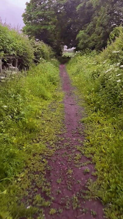 Exploring new tracks walking naked barefoot