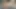 Powerful morning wood cumshot shoots over me