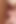 Anal squirting lesbians love nasty ass fucking