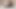 Sevimli femboy babasının sikini istiyor ve bunun için yalvarmaya devam ediyor