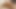 Lady Cock T-girl Hannah Shemale Strokers With Pierced Nipple