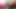 LILYAN RED: Interview before Fucking