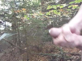 Wytrysk w lesie