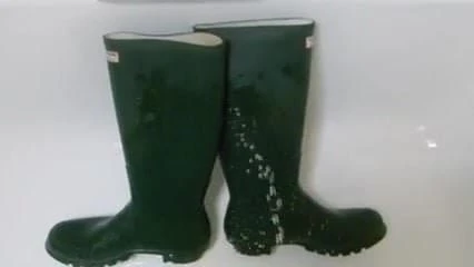 Mijando em minhas galochas de caçador 2