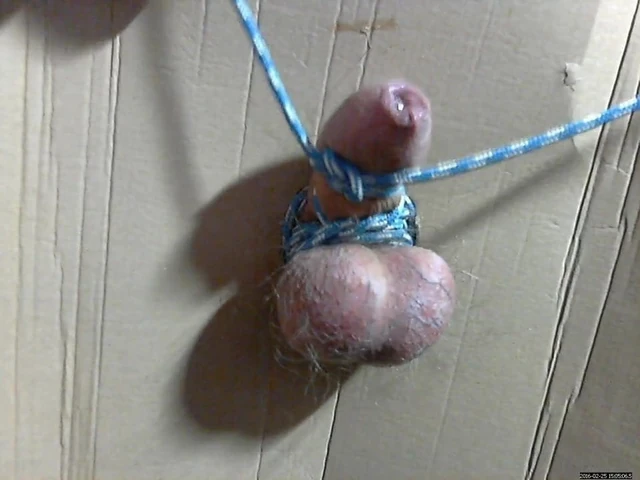 CBT Gloryhole