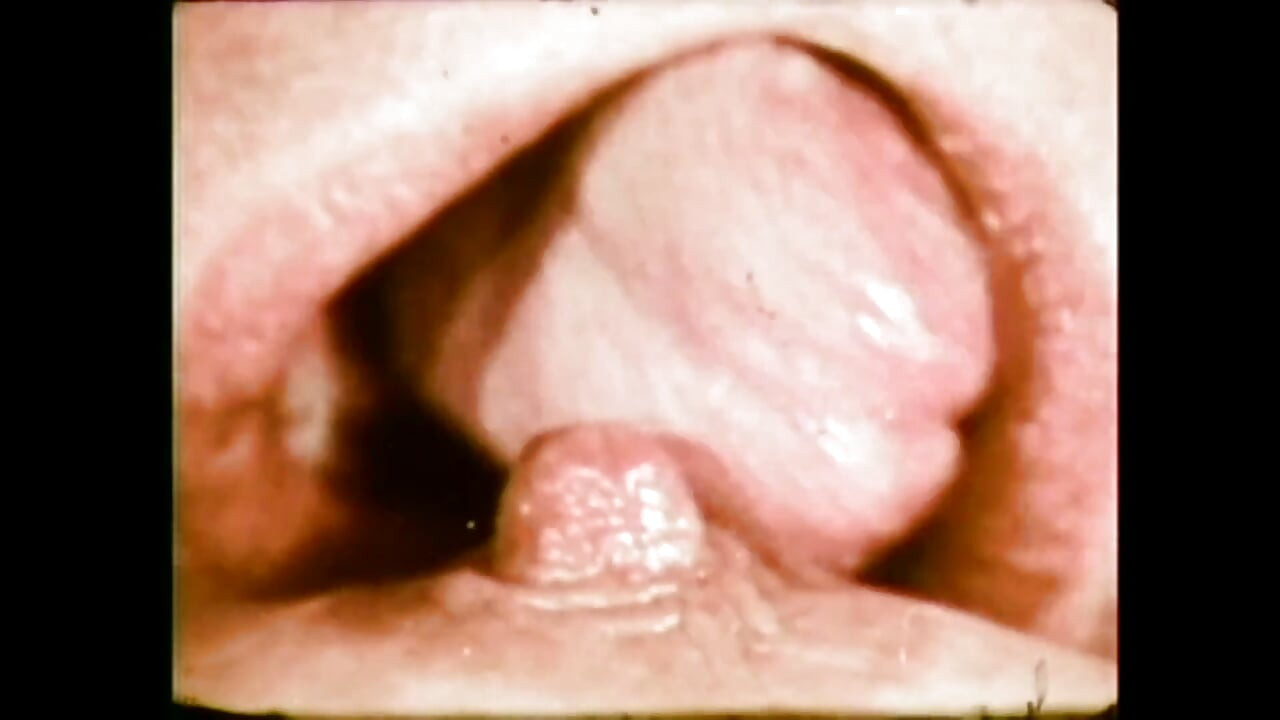 Свиной язык