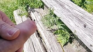Fast Outdoor Cumshot on a Bench at a vantage point