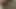 Fat hairy fuck slut pisses and fucks herself with the dildo