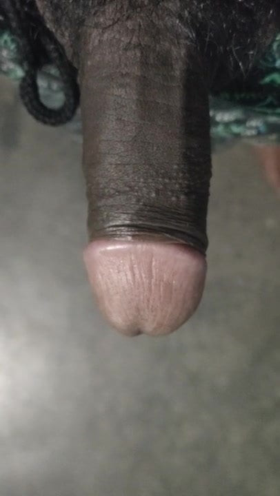 Lund asian