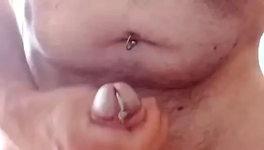 anal fiş