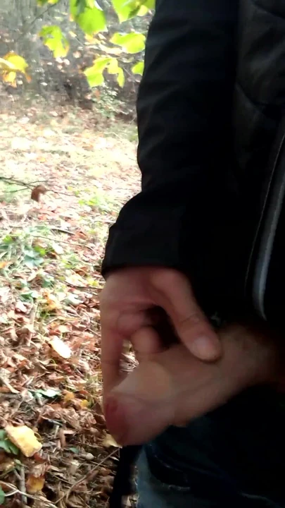 In the forrest