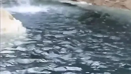 Yatak odasında kıllı amcık sikişiyor