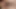 Hairy fat guys suck each other's cocks and cum on their faces (Short Video)