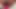 Aku lagi asik muasin memekku pakai dildo warna pink sampai lubangnya menganga lebar
