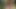 ドイツの扉の裏で熱心にやられる