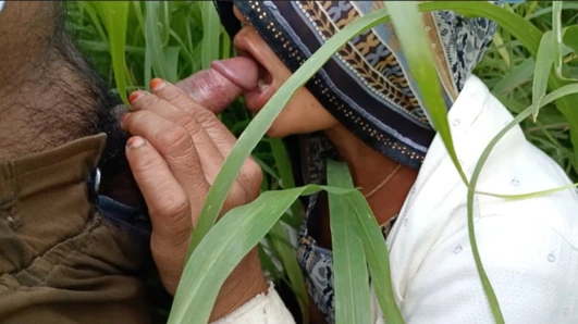 In the millet field, my elder sister-in-law sucked the cock and ass Mari opened the field of millet and killed my sister-in-law's ass