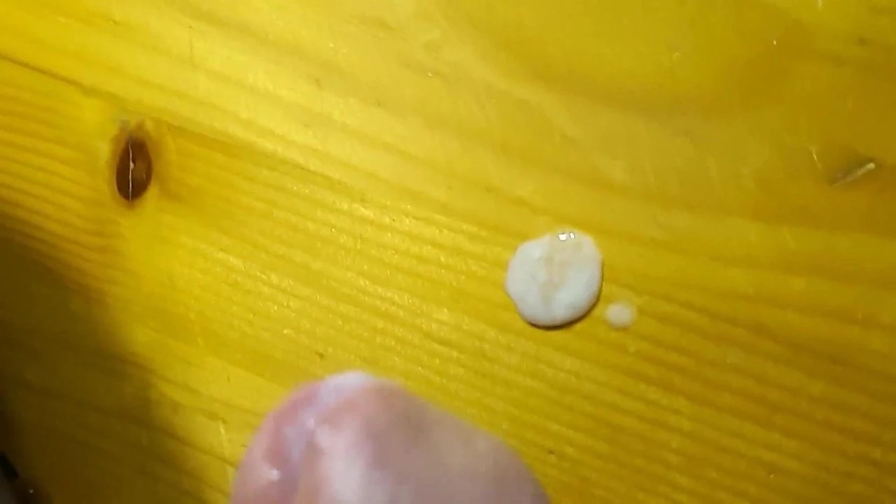 来自保加利亚的爸爸 2