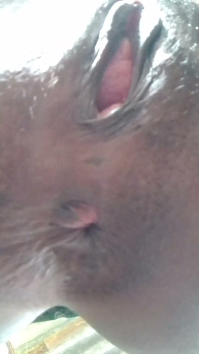 Anal and pusssy masterbating village girl bhabhi | Clip 1