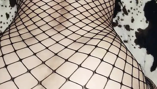 Awal yang indah untuk video rumah Anda