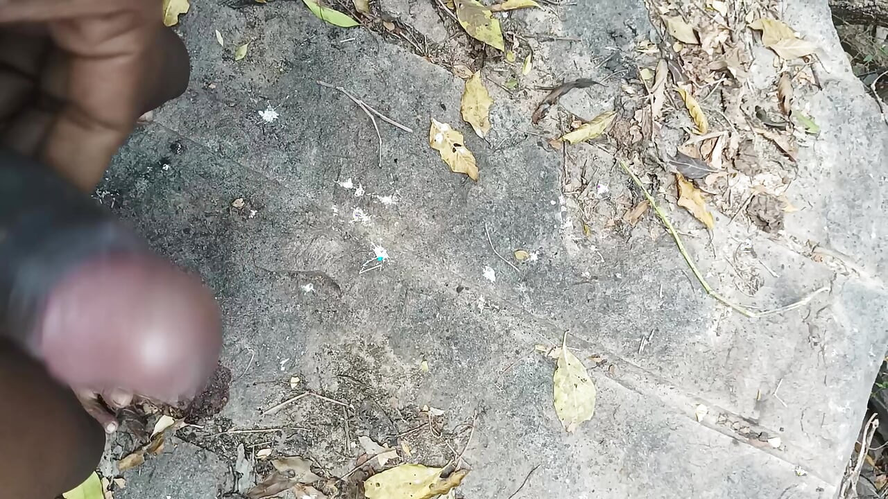 Tamil oğlan orman kadınlarında seks yapıyor