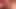 Selffuck