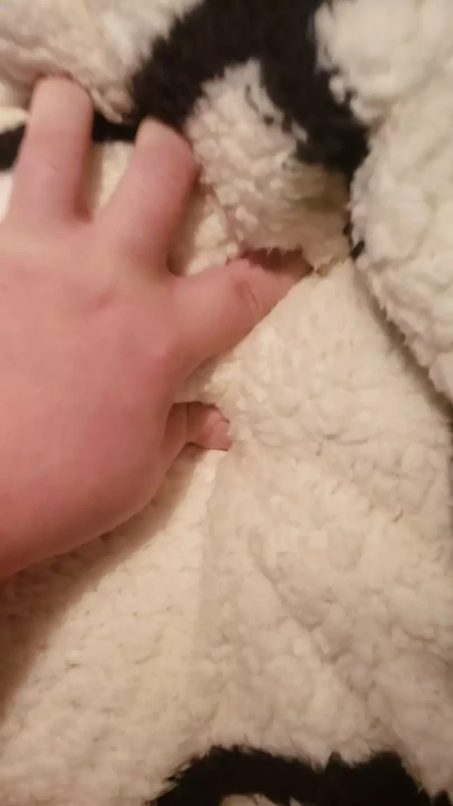 Humping my soft blanket to cumpletion