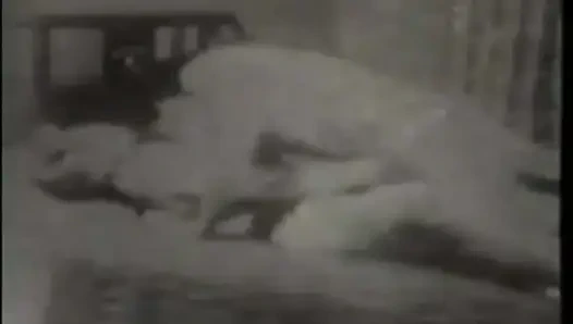 Daha Fazla Horoz Arzusu