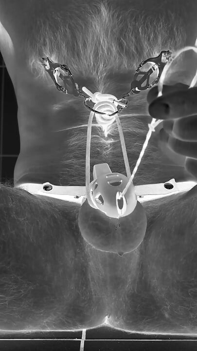 Multiple ruined orgasms in chastity cage with 30cm long penis plug