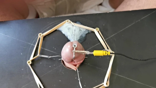 fishhook electro and cum