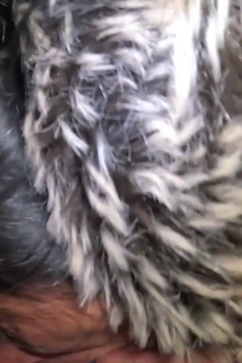 Midnight Blowjob in Stockings & Shearling Coat - Public Tease 295