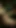 3D Big Cock Futanari Vi Sex with Caitlyn Lol