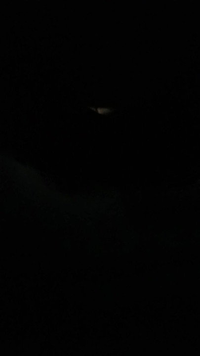 เย็ดฉันใช่โปรดฉันอยากได้ควย xx