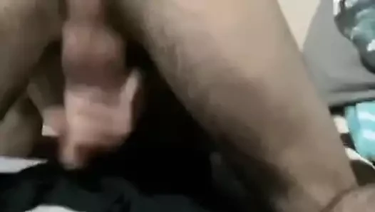 Looking for a shemale to eat me