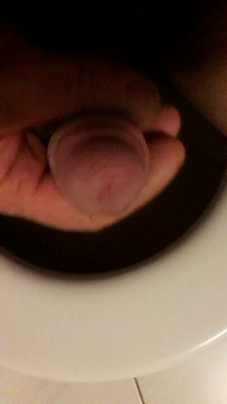 Dick from Nimmersattt