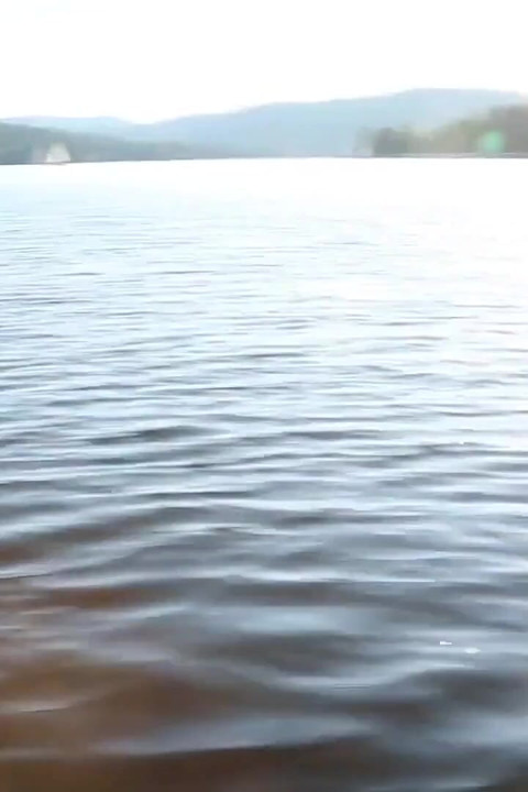 Summer on a boat