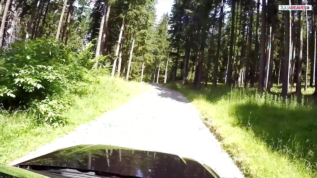 בפיקניק בירוק רצית לזיין אותי